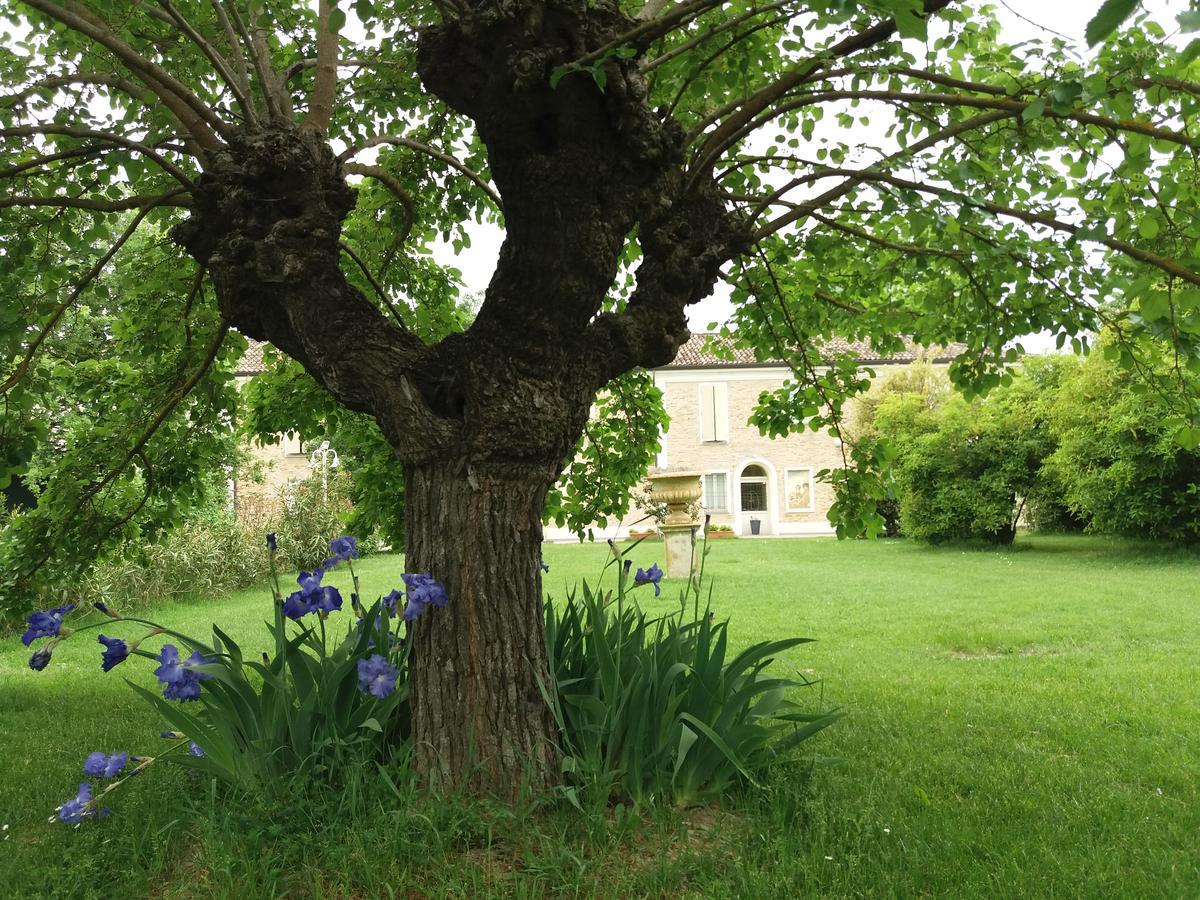 Relais Villa Roncuzzi Russi Exterior foto